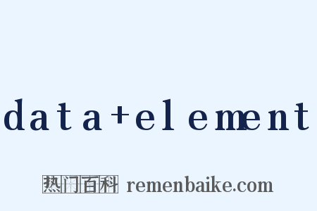 data+element是什么意思的图片